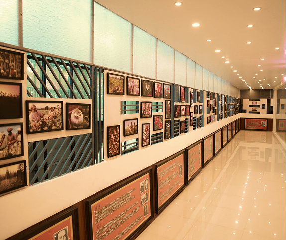 Photo Galleries