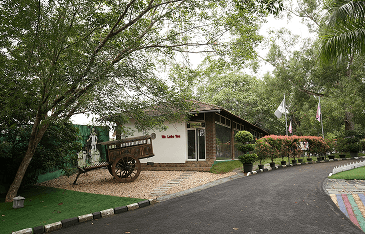 Diploma Courses at Mahatma Gandhi University